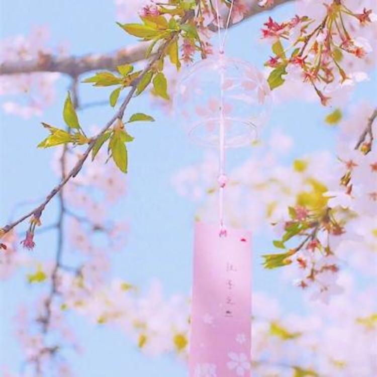 绫野刚（饰 外印） - 悬疑剧集完整在线观看 - APP看剧